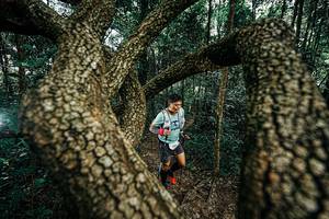 BIB: 
                            <button type="button" onclick="openModal(25394036)" class="btn btn-primary btn-sm float-right btn-popup" data-toggle="modal" data-target=".modal-high-quality">
                        <i class="fas fa-shopping-cart"></i> Add to Cart
                    </button>
                                            <button type="button" onclick="isThisMe(25394036, true)" class="btn btn-success btn-sm float-right btn-popup btn-isme hidden" data-toggle="tooltip" data-placement="bottom" title="นี่คือรูปของคุณใช่ไหม คลิกที่นี่เพื่อเอาเข้าอัลบั้ม">
                        <i class="fas fa-plus"></i> Add to album
                    </button>
                    <button type="button" onclick="isThisMe(25394036, false)" class="btn btn-warning btn-sm float-right btn-popup btn-isnotme hidden">
                        <i class="fas fa-ban"></i> Remove from album
                    </button>